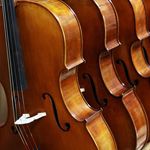 Orchestral Stringed Instruments