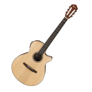 Ibanez AEG10NIILG- AEG Series Acoustic-Electric Guitar with Spruce Top