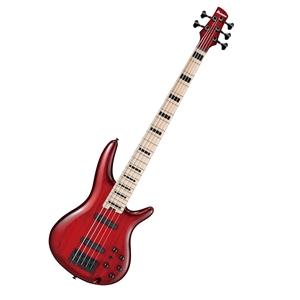 Ibanez ANB205 Adam Nitti Signature 5-String Bass