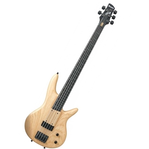 Ibanez GWB205 Gary Willis Siganture 5-String Electric Bass Guitar