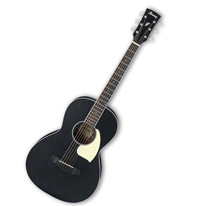 Ibanez PN14WK Acoustic Guitar