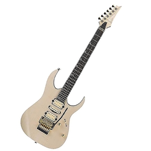 Ibanez RG1070FM RG Series Premium Electric Guitar w/Bag