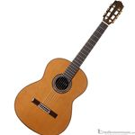 Cordoba C10 Classical Nylon String Acoustic Guitar