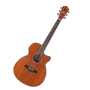 Ibanez AEG8E Acoustic-Electric Guitar