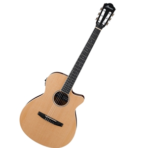 Ibanez AEG7TN Nylon Acoustic-Electric Guitar