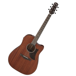 Ibanez AAD140OPN Advanced Acoustic Guitar - Open Pore Natural