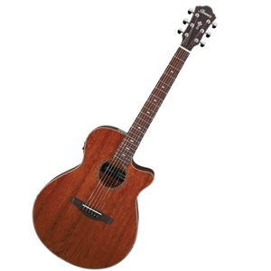 Ibanez AEG220LGS Acoustic-Electric Guitar