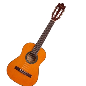 Ibanez GA GIO Series Classical Guitar