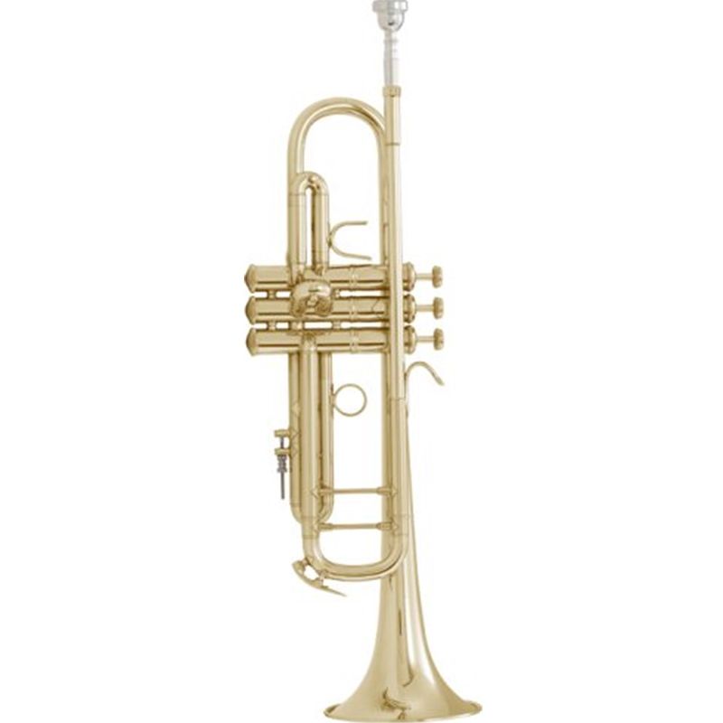 Bach Trumpet Professional 18037 .459