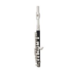 Ted Brown Music - Gemeinhardt Plastic 1P Piccolo