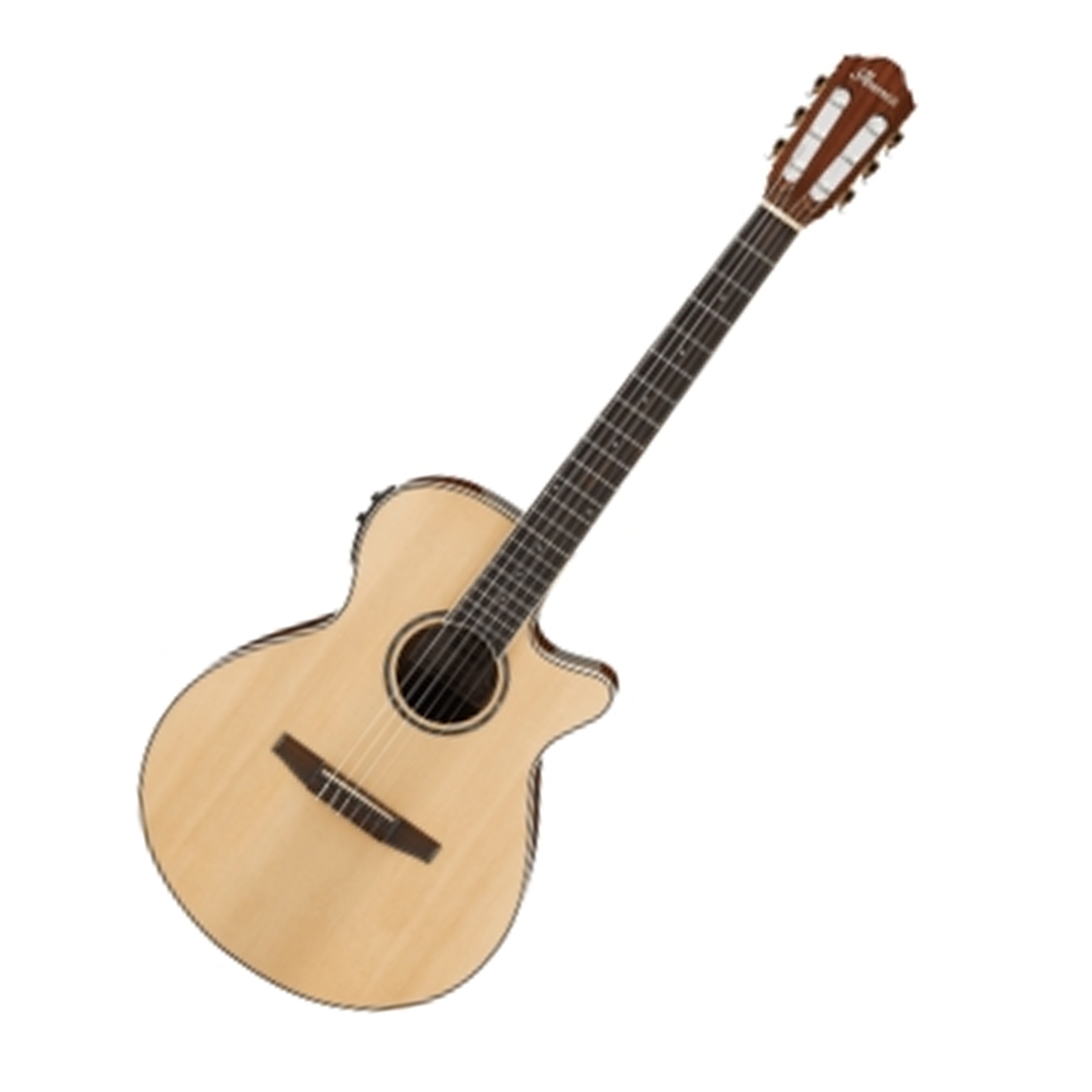 Ibanez AEG10NIILG- AEG Series Acoustic-Electric Guitar with Spruce Top
