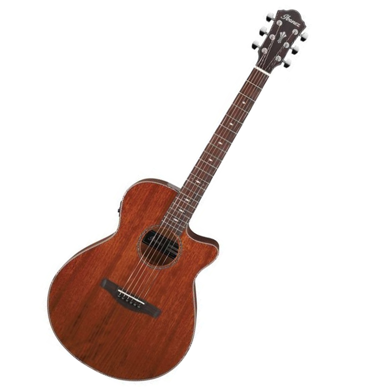 Ibanez AEG220LGS Acoustic-Electric Guitar